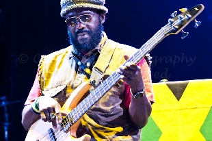 concertphotography-WAILERs_4513