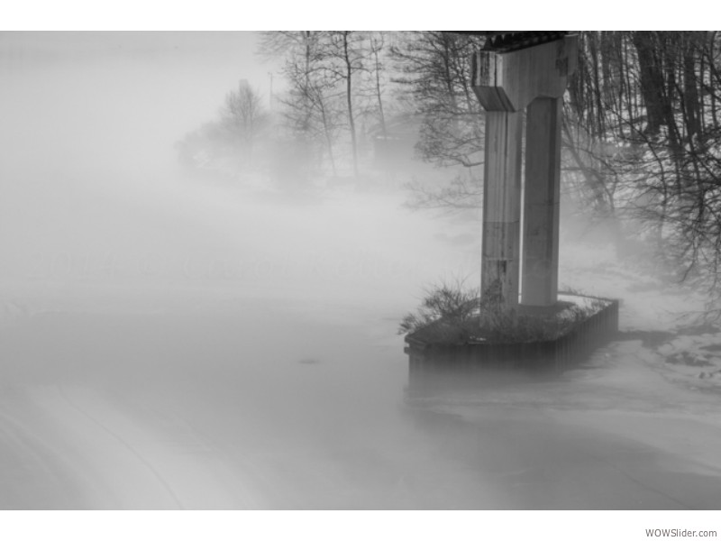 Winter Fog